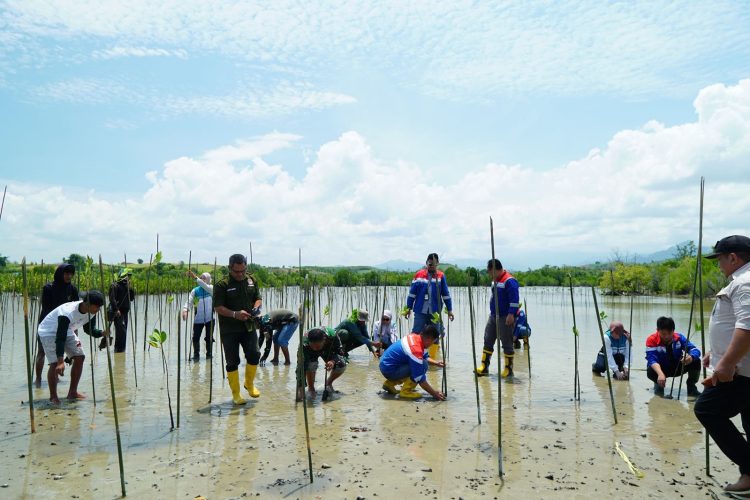 Penanaman bibit mangrove di Kawasan Cagar Alam Panua Gorontalo.