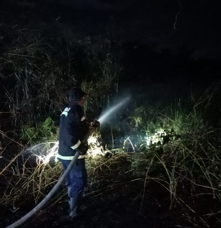 Tim Damkar dan Penyelamatan Kota Kendari memadamkan kebakaran lahan di Kawasan Hutan Anduonohu Kota Kendari.