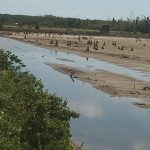 Hutan Tergerus Aktivitas Ilegal, Warga Soroti Dugaan Pembiaran di Taman Nasional Rawa Aopa Watumohai