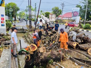 Drainase Tersumbat Ranting, Pemkot Kendari Gerak Cepat Atasi Genangan