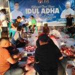 6 Tahun Konsisten Berbagi, Anton Timbang Bersama Anindya Bakrie Kurbankan 3 Sapi Melalui Kadin Sultra