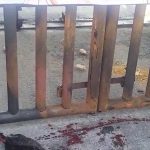 Mahasiswa Lepas Tikus dan Potong Ayam di Kejati Sultra, Desak Tersangka Baru Kasus Jembatan Cirauci II