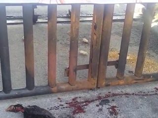 Mahasiswa Lepas Tikus dan Potong Ayam di Kejati Sultra, Desak Tersangka Baru Kasus Jembatan Cirauci II