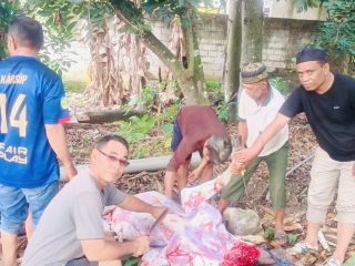 Mantap! JMSI Kendari Bagikan Ratusan Paket Daging Kurban, Sasar Dhuafa hingga Pekerja Media