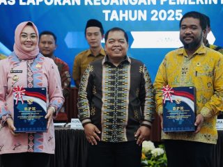 BPK Serahkan LHP Keuangan 17 Daerah di Sulawesi Tenggara