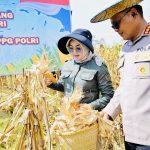 Jagung Melimpah, Harapan Meningkat, Pemkot dan Polresta Kendari Pertegas Komitmen Ketahanan Pangan