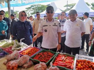 BPS Catat Inflasi Sulawesi Tenggara Periode Mei 2026 Tembus 4,07 Persen