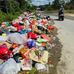 Bau Menyengat ‘Sambut’ Pengendara di Jalan KS Tubun Baruga Kendari, Warga: Ini Sampah atau Monumen?