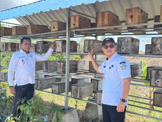 Sinergi Tani Merdeka dan Dinas Pertanian Kendari Mewujudkan Petani Mandiri