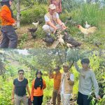 Tani Merdeka Indonesia dan Pemkot Kendari Dampingi Kelompok Tani Ekspansi Lahan
