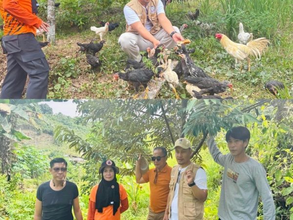 Tani Merdeka Indonesia dan Pemkot Kendari Dampingi Kelompok Tani Ekspansi Lahan
