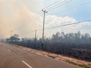 Kebakaran Hutan Berulang Setiap Tahun, Peneliti Sentil Efektivitas Penanganan Karhutla