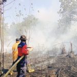 Kebakaran Lahan Kosong Terjadi di Padaleu Kendari, Petugas Damkar Butuh 1,5 Jam Padamkan Api
