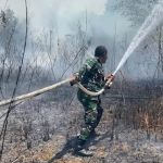 Tanggap Bencana, TNI dan Warga Bahu-Membahu Padamkan Karhutla di Kendari