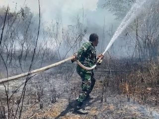 Tanggap Bencana, TNI dan Warga Bahu-Membahu Padamkan Karhutla di Kendari