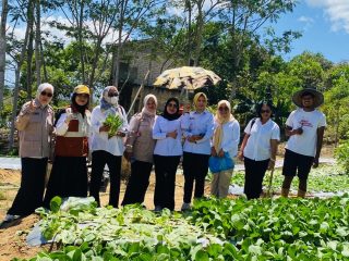 Pastikan Hasil Tani Aman Konsumsi, DPD Tani Merdeka Kendari dan Dinas Ketapang Sultra Uji Sampel Kelompok Hidroponik UHO dan Tani Mulia