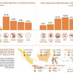 Ekonomi Sulawesi Tenggara Tumbuh 6,19 Persen pada Triwulan II-2026, Sektor Akomodasi dan Investasi Jadi Pendorong Utama