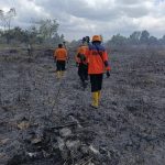 Kemarau Panjang, BPBD Kendari Larang Olah Lahan Pertanian dengan Membakar: Risikonya Kebakaran Besar!