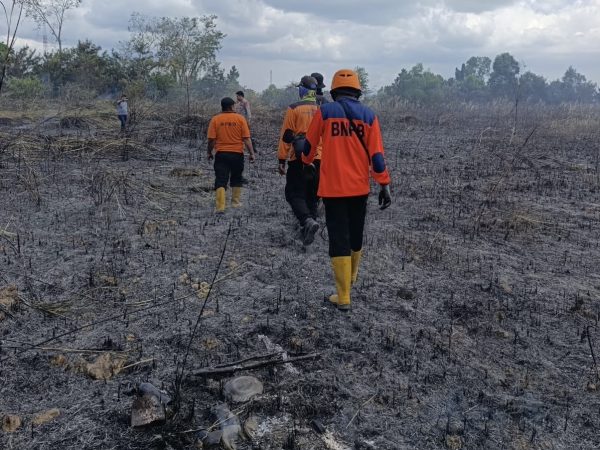 Kemarau Panjang, BPBD Kendari Larang Olah Lahan Pertanian dengan Membakar: Risikonya Kebakaran Besar!