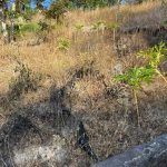 Sempat Bahagia, Petani Nanga-Nanga Kendari Kini Gigit Jari Soal Bantuan Sumur Bor yang Diduga Dialihkan Distan