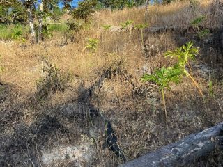 Sempat Bahagia, Petani Nanga-Nanga Kendari Kini Gigit Jari Soal Bantuan Sumur Bor yang Diduga Dialihkan Pemerintah