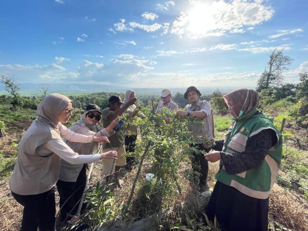 Tani Merdeka Kendari Turun ke Lahan Tani di Baruga : Serap dan Siap Kawal Pemberian Bibit, Irigasi, Hingga Pupuk Gratis