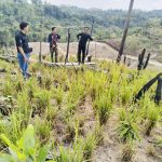 Distan Kota Kendari Pastikan Bantuan Sumur Bor Bukan Dibatalkan, tapi Ditambah Jumlahnya untuk Petani Nanga-nanga
