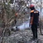 BPBD Petakan 6 Kecamatan Rawan Kebakaran Lahan di Kota Kendari, Kawasan Tobuuha Hingga Nanga-Nanga Waspada