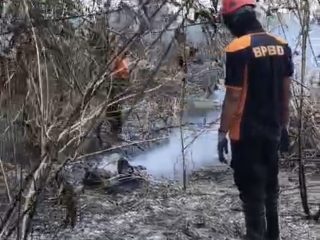 BPBD Petakan 6 Kecamatan Rawan Kebakaran Lahan di Kota Kendari, Kawasan Tobuuha Hingga Nanga-Nanga Waspada