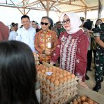 Butuh 89 Ribu Telur per Hari untuk SPPG, Pemkot Kendari Dorong Rantai Pasok dari Pengusaha Lokal