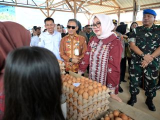 Butuh 89 Ribu Telur per Hari untuk SPPG, Pemkot Kendari Dorong Rantai Pasok dari Pengusaha Lokal