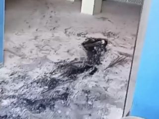Aksi Organisasi Mahasiswa Konut Diduga Diwarnai Aksi Bakar Ban di UIN Kendari