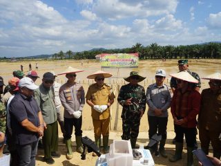 998 Hektare Sawah Dicetak, TNI Gaspol Perkuat Swasembada Pangan di Sulawesi Tenggara