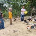 Jaga Ketahanan Pangan Keluarga, Kadis Ketapang Kota Kendari Ajak Warga Beternak Ayam