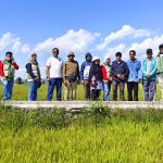 Dampak Kemarau di Kawasan Amohalo Kendari Mulai Teratasi, 20 Hektare Sawah Kembali Terairi
