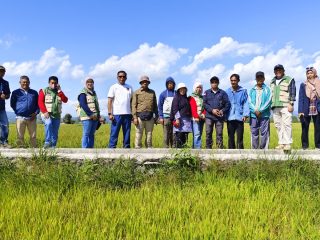 Dampak Kemarau di Kawasan Amohalo Kendari Mulai Teratasi, 20 Hektare Sawah Kembali Terairi
