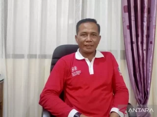 Pemkot Kendari Siapkan Bantuan Bibit untuk Petani Terdampak Kebakaran Lahan