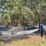 Kota Kendari Darurat Kebakaran Lahan