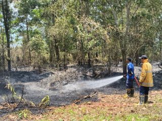 Kota Kendari Darurat Kebakaran Lahan