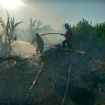 Kebakaran Lahan di Baruga Kendari, Api Nyaris Merembet ke Permukiman Warga