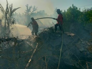 Kebakaran Lahan di Baruga Kendari, Api Nyaris Merembet ke Permukiman Warga