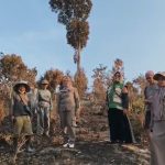Karhutlah di Kota Kendari, 2 Hektar Kebun Durian dan Cengkeh Hangus Terbakar