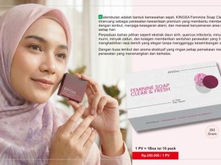 KINGSA Hadirkan Peluang Bisnis Rumah Tangga dan Produk Perawatan Berkualitas untuk Keluarga Muda