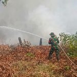 Sinergi TNI-Polri, Damkar dan Warga Padamkan Kebakaran Lahan di Nanga-Nanga Kendari