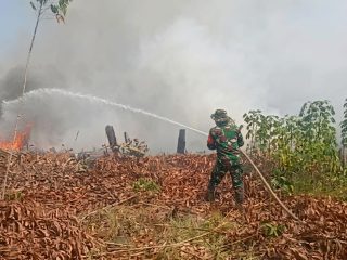 Sinergi TNI-Polri, Damkar dan Warga Padamkan Kebakaran Lahan di Nanga-Nanga Kendari
