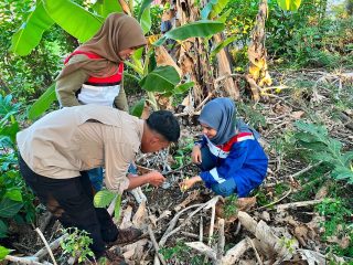 Pertamina Patra Niaga Regional Sulawesi dan UPT Kebun Raya Pucak Eksplorasi Tanaman di Kabupaten Bone
